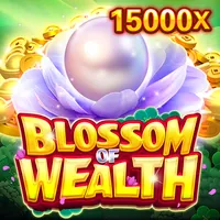 Biểu đồ quản lý ngân sách chơi slot